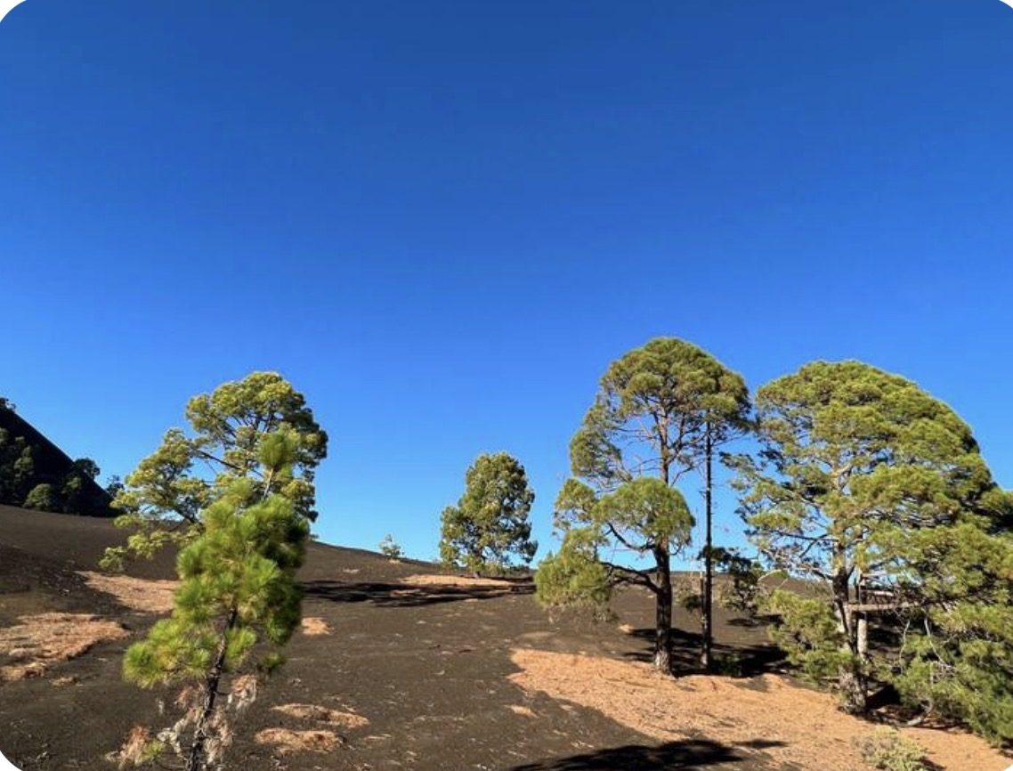 Natur & Teide